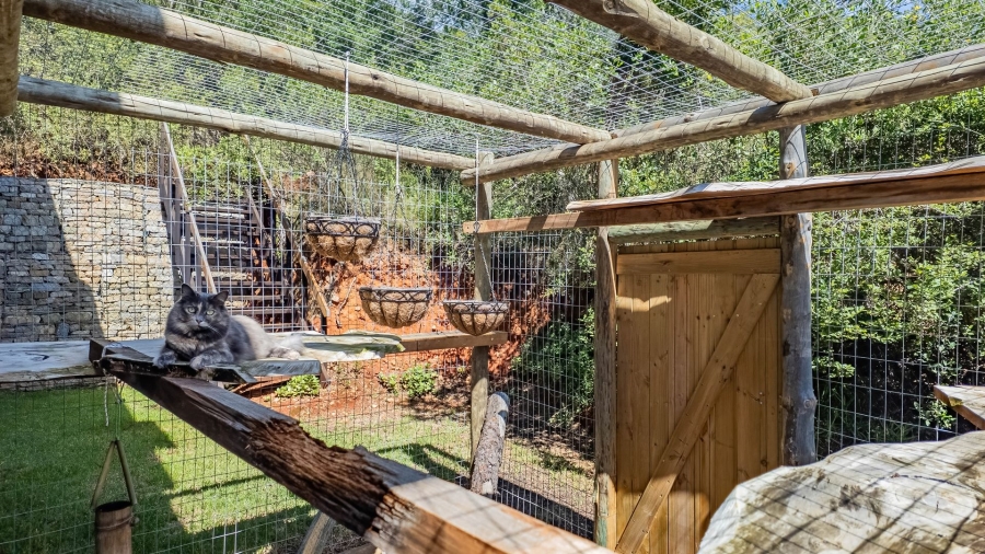 3 Bedroom Property for Sale in Wittedrift AH Western Cape